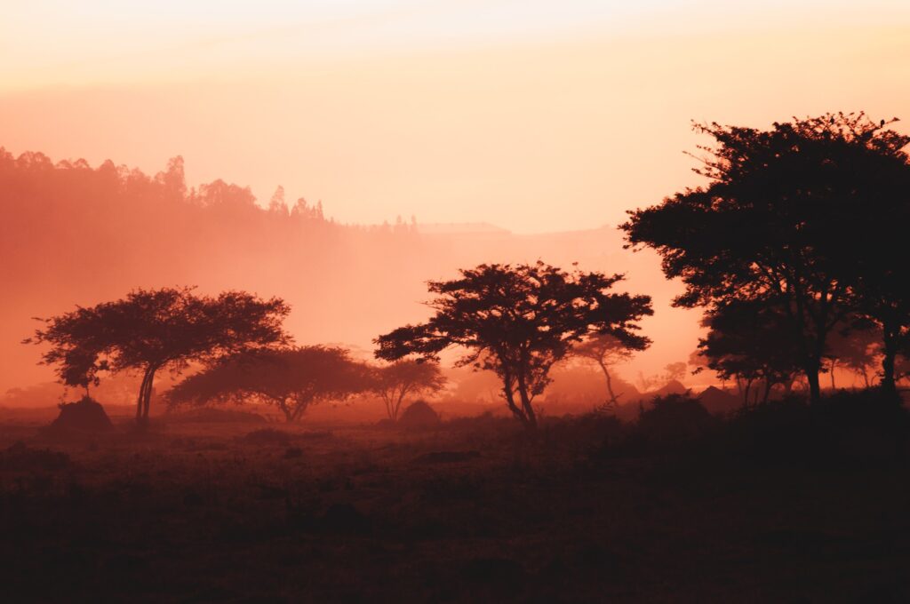 Rwanda offers magnificent scenery